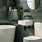 Granley Rustic Green Gloss Wall Tiles 70 x 280mm  Feature Large Image