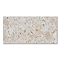 Grantola Beige Terrazzo Effect Tiles - 300 x 600mm