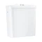 Grohe Bau Ceramic Exposed Flushing Cistern - 39494000 Large Image