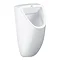 Grohe Bau Ceramic Urinal + Flush Plate + Rough-In Box  Profile Large Image