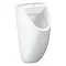 Grohe Bau Ceramic Urinal with Concealed Inlet - 39438000 Large Image