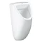 Grohe Bau Ceramic Urinal with Top Inlet - 39439000 Large Image
