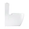 Grohe Essence Rimless Close Coupled Toilet with Soft Close Seat (Bottom Inlet)  In Bathroom Large Im