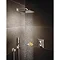 Grohe Euphoria Cube+ Stick Shower Handset with 1 Spray Pattern - 27884001 Feature Large Image
