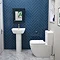 Grohe Euro Ceramic 450mm 1TH Basin + Full Pedestal Profile Large Image