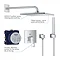 Grohe Eurocube Perfect Shower Set with Rainshower Mono 310 Cube ? 25238000  Feature Large Image