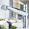 Grohe Eurodisc Cosmopolitan Kitchen Sink Mixer with Pull Out Spray - 32257002 Profile Large Image