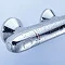 Grohe Grohtherm 1000 Thermostatic Shower Mixer - 34143003 Feature Large Image
