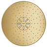 Grohe Rainshower SmartActice 310 Wall Mounted Shower Head - Brushed Gold