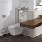 Grohe Rapid SL 0.98m Support Frame for Wall Hung WC - 38525001  Profile Large Image