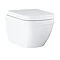 Grohe Rapid Start Black Flush Plate / Euro Rimless Ceramic Complete WC 5 in 1 Pack