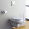 Grohe Skate Cosmopolitan WC Wall Flush Plate - 38732000  Standard Large Image