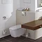 Grohe Skate Cosmopolitan WC Wall Flush Plate - 38732000  In Bathroom Large Image