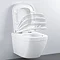 Grohe Solido Euro / Arena Complete WC 5 in 1 Pack - 39535000  Feature Large Image