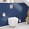 Grohe Solido Euro / Arena Complete WC 5 in 1 Pack