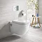 Grohe Solido Euro / Arena Cosmo Complete WC 4-in-1 Pack  Profile Large Image