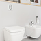 Grohe Solido Euro / Small Plate Complete WC 5 in 1 Pack