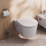 hansgrohe AddStoris S Chrome Toilet Roll Holder