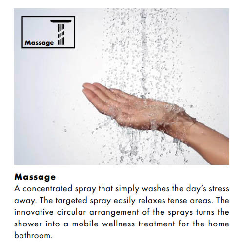 Hansgrohe Crometta Vario EcoSmart 4 Spray Hand Shower 100 - 28537000  Feature Large Image
