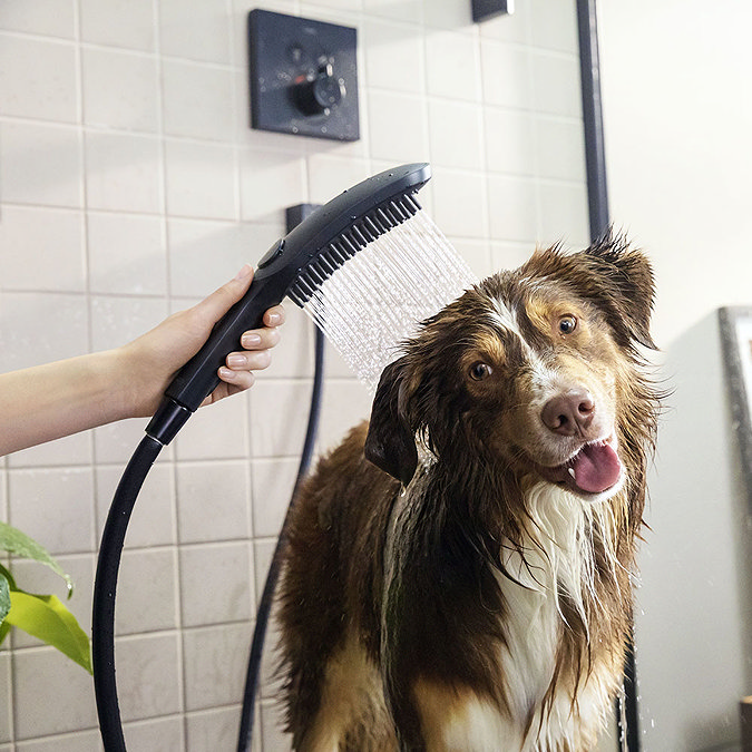hansgrohe DogShower 3-Spray Dog Shower Handset - Matt Black Large Image