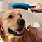 hansgrohe DogShower 3-Spray Dog Shower Handset - Petrol Large Image
