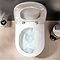 hansgrohe GladeLake S Rimless Wall Hung Toilet with AquaChannel Flush