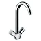 hansgrohe Logis M31 2-Handle Kitchen Mixer 220 - 71280000 Large Image