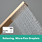 hansgrohe Pulsify E 260 Overhead Shower and 1jet EcoSmart Hand Shower, Slide Rail Kit with ShowerSelect Comfort E Thermostat-EcoSmart - Brushed Bronze