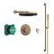 hansgrohe Pulsify S 260 Overhead Shower and 1jet EcoSmart Hand Shower, Slide Rail Kit with ShowerSelect Comfort S Thermostat-EcoSmart - Brushed Bronze