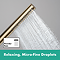 hansgrohe Pulsify S 260 Overhead Shower and 1jet EcoSmart Hand Shower, Slide Rail Kit with ShowerSelect Comfort S Thermostat-EcoSmart - Brushed Bronze
