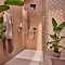 hansgrohe Pulsify S 260 Overhead Shower and 1jet EcoSmart Hand Shower, Slide Rail Kit with ShowerSelect Comfort S Thermostat-EcoSmart - Chrome