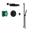 hansgrohe Pulsify S 260 Overhead Shower and 1jet EcoSmart Hand Shower, Slide Rail Kit with ShowerSelect Comfort S Thermostat-EcoSmart - Matt Black