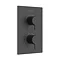 Heritage Dartmouth 2 Outlet Twin Concealed Thermostatic Shower Valve - Matt Black - SDABL01