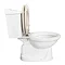Heritage Dorchester Bottom Outlet Close Coupled WC & Dual Flush Cistern Profile Large Image