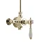 Heritage - Glastonbury Single Control Exposed Valve With Top Outlet - Vintage Gold Large Image