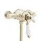 Heritage - Ryde Dual Control Exposed Mini Valve With Bottom Outlet - Vintage Gold - SLA06 Large Image
