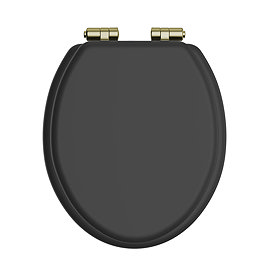 Heritage Soft Close Toilet Seat with Vintage Gold Hinges