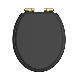 Heritage Soft Close Toilet Seat with Vintage Gold Hinges