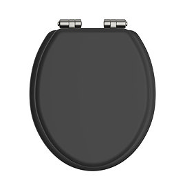 Heritage Soft Close Toilet Seat with Vintage Gold Hinges