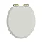 Heritage Soft Close Toilet Seat with Vintage Gold Hinges - Chantilly