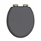 Heritage Soft Close Toilet Seat with Vintage Gold Hinges - Graphite
