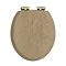 Heritage Soft Close Toilet Seat with Vintage Gold Hinges - Oak
