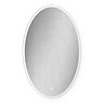 HIB Arena 80 LED Ambient Oval Mirror - 79530800  Profile Large Image