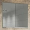 HIB Essence 80 Recessed Aluminium Mirror Cabinet - 51200 Large Image