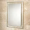 HIB Georgia Decorative Mirror - 76060500 Large Image