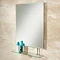 HIB Tapio Rectangular Bathroom Mirror with Glass Shelf - 77275000 Large Image