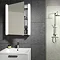 HIB Vita 50 LED Aluminium Mirror Cabinet - 45600 Profile Large Image