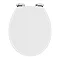 High Gloss White MDF Soft Close Bottom Fixing Toilet Seat Large Image