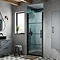 Hudson Reed Apex Matt Black Hinged Shower Door - Sizes Large Image