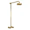 Hudson Reed Brushed Brass Thermostatic Shower Valve with Rigid Riser & Fixed Head - A8118 Large Imag